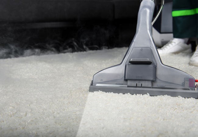 Routine Carpet Cleaning
